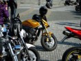/album/fotogaleria/a10153264-681791251885118-522477409-n-jpg/