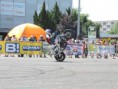 /album/fotogaleria/dscn3100-jpg/